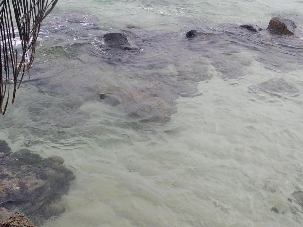 Sayuri Beach Hotel Matara Luaran gambar