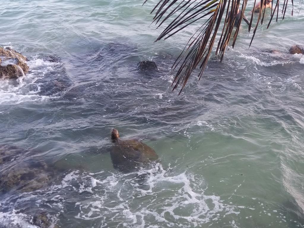 Sayuri Beach Hotel Matara Luaran gambar